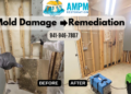 Mold Remediation Services - Restorationspro - Medium